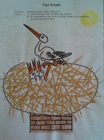 /album/fotogalerie-tcapi/imag1145-1-jpg/